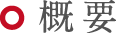 概要